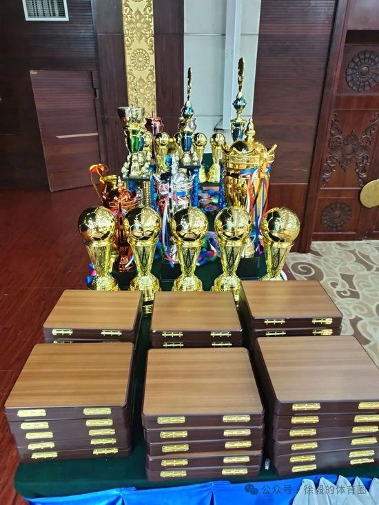 第三届华人华商大师杯万象落幕：越南胡志明飞越夺冠，美加墨世界杯前哨战已定